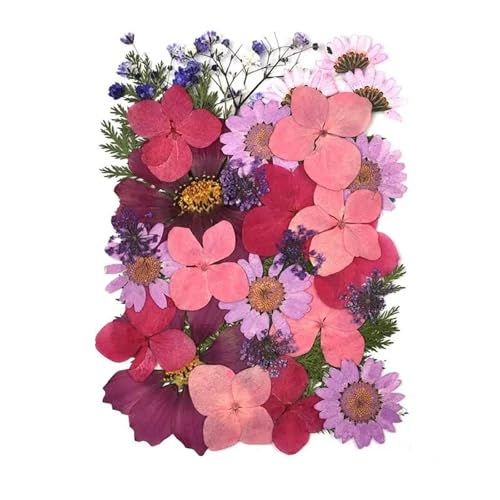 GMGQJST Trockenblumen 2er-Set Trockenblumen, Gießharz-Füllmaterial, gepresste Trockenblumen, DIY-Kerzen, Harzanhänger, Halskette, Schmuckherstellung, Bastelzubehör(Dried Flowers 04) von GMGQJST