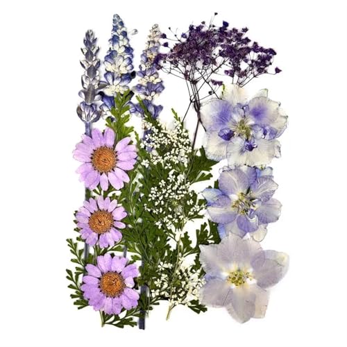 GMGQJST Trockenblumen 2er-Set Trockenblumen, Gießharz-Füllmaterial, gepresste Trockenblumen, DIY-Kerzen, Harzanhänger, Halskette, Schmuckherstellung, Bastelzubehör(Dried Flowers 06) von GMGQJST