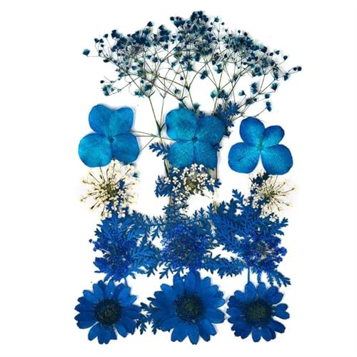 GMGQJST Trockenblumen 2er-Set Trockenblumen, Gießharz-Füllmaterial, gepresste Trockenblumen, DIY-Kerzen, Harzanhänger, Halskette, Schmuckherstellung, Bastelzubehör(Dried Flowers 07) von GMGQJST