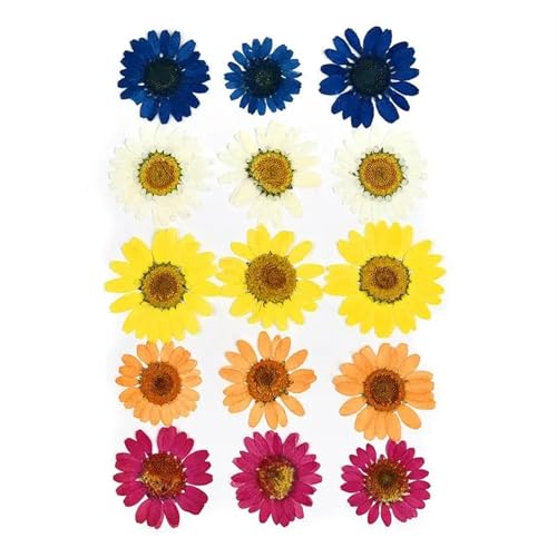 GMGQJST Trockenblumen 2er-Set Trockenblumen, Gießharz-Füllmaterial, gepresste Trockenblumen, DIY-Kerzen, Harzanhänger, Halskette, Schmuckherstellung, Bastelzubehör(Dried Flowers 10) von GMGQJST