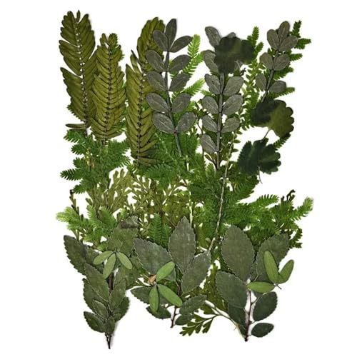 GMGQJST Trockenblumen 2er-Set Trockenblumen, Gießharz-Füllmaterial, gepresste Trockenblumen, DIY-Kerzen, Harzanhänger, Halskette, Schmuckherstellung, Bastelzubehör(Dried Flowers 11) von GMGQJST