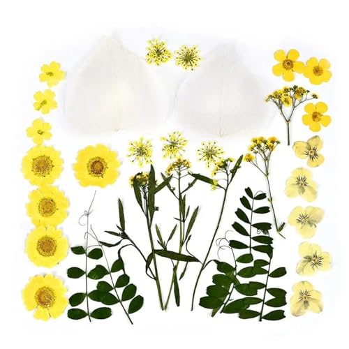 GMGQJST Trockenblumen 2er-Set Trockenblumen, Gießharz-Füllmaterial, gepresste Trockenblumen, DIY-Kerzen, Harzanhänger, Halskette, Schmuckherstellung, Bastelzubehör(Dried Flowers 15) von GMGQJST
