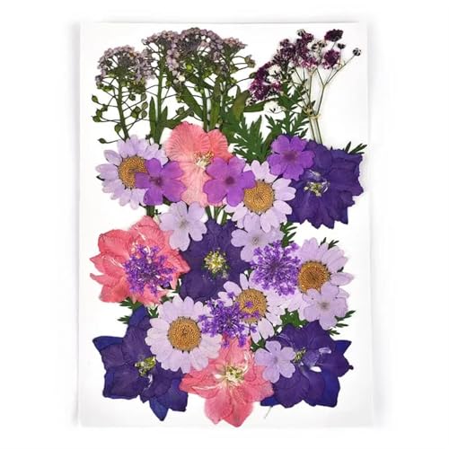 GMGQJST Trockenblumen 2er-Set Trockenblumen, Gießharz-Füllmaterial, gepresste Trockenblumen, DIY-Kerzen, Harzanhänger, Halskette, Schmuckherstellung, Bastelzubehör(Dried Flowers 16) von GMGQJST