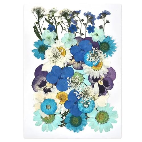 GMGQJST Trockenblumen 2er-Set Trockenblumen, Gießharz-Füllmaterial, gepresste Trockenblumen, DIY-Kerzen, Harzanhänger, Halskette, Schmuckherstellung, Bastelzubehör(Dried Flowers 18) von GMGQJST
