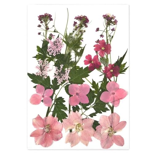 GMGQJST Trockenblumen 2er-Set Trockenblumen, Gießharz-Füllmaterial, gepresste Trockenblumen, DIY-Kerzen, Harzanhänger, Halskette, Schmuckherstellung, Bastelzubehör(Dried Flowers 20) von GMGQJST