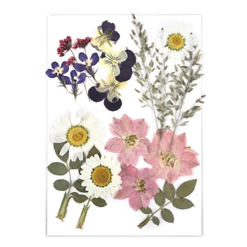 GMGQJST Trockenblumen 2er-Set Trockenblumen, Gießharz-Füllmaterial, gepresste Trockenblumen, DIY-Kerzen, Harzanhänger, Halskette, Schmuckherstellung, Bastelzubehör(Dried Flowers 21) von GMGQJST