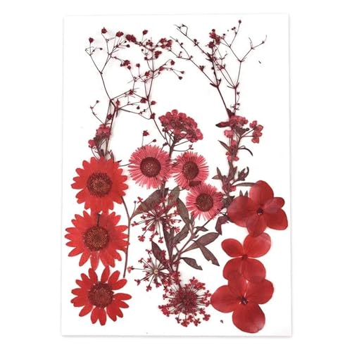 GMGQJST Trockenblumen 2er-Set Trockenblumen, Gießharz-Füllmaterial, gepresste Trockenblumen, DIY-Kerzen, Harzanhänger, Halskette, Schmuckherstellung, Bastelzubehör(Dried Flowers 22) von GMGQJST