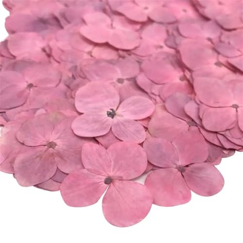 GMGQJST Trockenblumen 48 stücke Getrocknete Blume Epoxidharz 12 Stücke DIY Gedrückt Anlage Probe Telefon Decor Zubehör(Pink) von GMGQJST