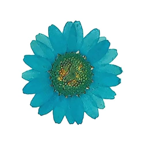 GMGQJST Trockenblumen DIY Epoxidharz 36 Stück natürliche Blume gepresst getrocknet Nagel Handwerk Telefon Dekoration(Dark Blue) von GMGQJST