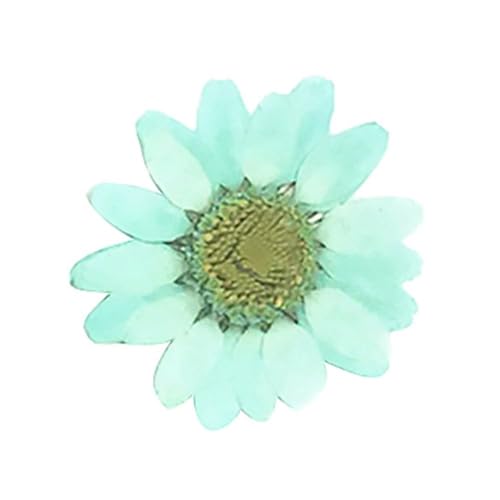 GMGQJST Trockenblumen DIY Epoxidharz 36 Stück natürliche Blume gepresst getrocknet Nagel Handwerk Telefon Dekoration(Light Blue) von GMGQJST