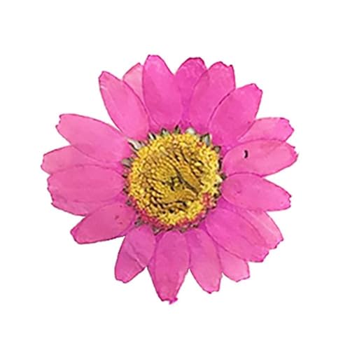 GMGQJST Trockenblumen DIY Epoxidharz 36 Stück natürliche Blume gepresst getrocknet Nagel Handwerk Telefon Dekoration(Rose Red) von GMGQJST