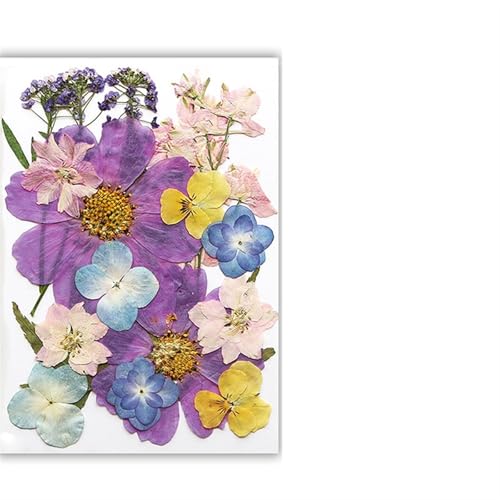 GMGQJST Trockenblumen Getrocknete Blumen, echte natürliche Pflanze, gepresste Blume for Füllen von Epoxidharz, DIY, Nagelkunst, Kunsthandwerk, Schmuckherstellung(Color-A) von GMGQJST