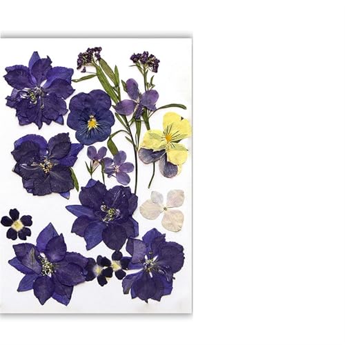 GMGQJST Trockenblumen Getrocknete Blumen, echte natürliche Pflanze, gepresste Blume for Füllen von Epoxidharz, DIY, Nagelkunst, Kunsthandwerk, Schmuckherstellung(Color-D) von GMGQJST