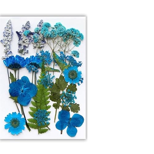 GMGQJST Trockenblumen Getrocknete Blumen, echte natürliche Pflanze, gepresste Blume for Füllen von Epoxidharz, DIY, Nagelkunst, Kunsthandwerk, Schmuckherstellung(Color-E) von GMGQJST