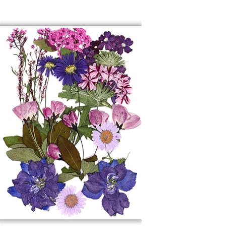 GMGQJST Trockenblumen Getrocknete Blumen, echte natürliche Pflanze, gepresste Blume for Füllen von Epoxidharz, DIY, Nagelkunst, Kunsthandwerk, Schmuckherstellung(Color-L) von GMGQJST