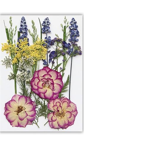 GMGQJST Trockenblumen Getrocknete Blumen, echte natürliche Pflanze, gepresste Blume for Füllen von Epoxidharz, DIY, Nagelkunst, Kunsthandwerk, Schmuckherstellung(Color-P) von GMGQJST