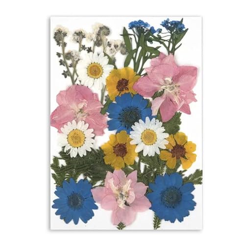 GMGQJST Trockenblumen Getrocknete Blumen for DIY-Kunsthandwerk, Epoxidharz, Kerzenherstellung, ewige Blumen, Lesezeichen, gepresste Blumen, Heimdekoration, Kunsthandwerk(Dried Flowers 01) von GMGQJST