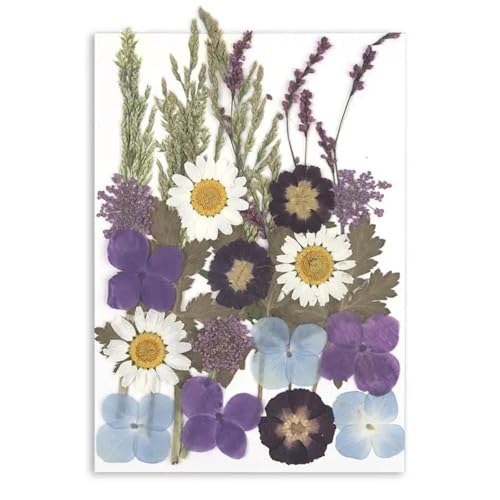 GMGQJST Trockenblumen Getrocknete Blumen for DIY-Kunsthandwerk, Epoxidharz, Kerzenherstellung, ewige Blumen, Lesezeichen, gepresste Blumen, Heimdekoration, Kunsthandwerk(Dried Flowers 05) von GMGQJST