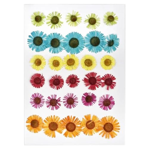 GMGQJST Trockenblumen Getrocknete Blumen for DIY-Kunsthandwerk, Epoxidharz, Kerzenherstellung, ewige Blumen, Lesezeichen, gepresste Blumen, Heimdekoration, Kunsthandwerk(Dried Flowers 11) von GMGQJST