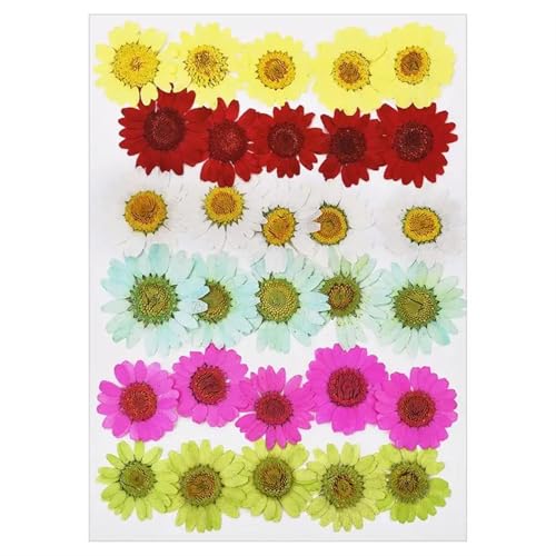 GMGQJST Trockenblumen Getrocknete Blumen for DIY-Kunsthandwerk, Epoxidharz, Kerzenherstellung, ewige Blumen, Lesezeichen, gepresste Blumen, Heimdekoration, Kunsthandwerk(Dried Flowers 19) von GMGQJST