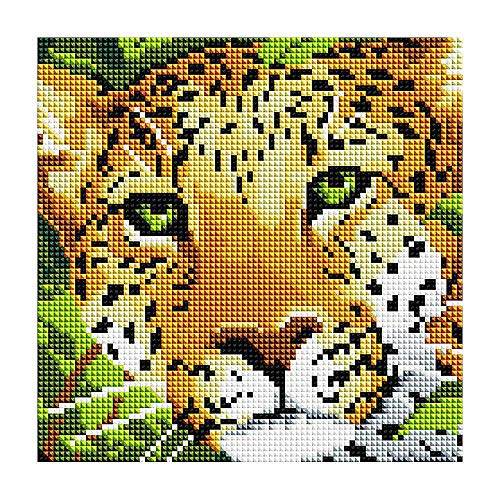 GMMH Diamond Vollbedeckung mit Holzrahmen Painting Set Bild 20 x 20 Diamant Malerei Stickerei Handarbeit Basteln Mosaik Steine Blumen Korb Haus am Bach (BZ574) von GMMH