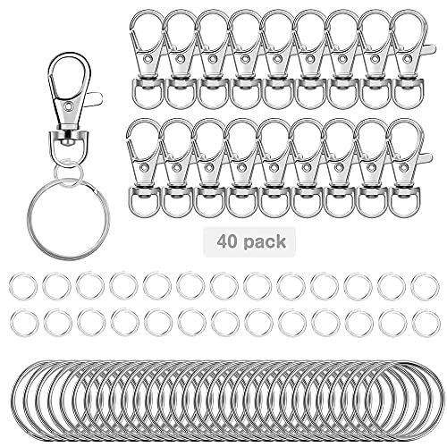 40 Stück Kleine abnehmbare Drehverschlüsse für Schlüsselringe, Karabiner Schlüsselanhänger Mini Klein Karabinerhaken Schlüsselanhänger Kosmetik & Schmuck von GOCROWEEN