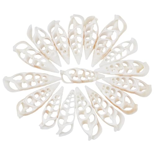 GOMAKERER 30 Stück Natürliche Muschelperlen Muschelperlen Mit Mittelschliff Terebra Turritella Aquarium Ornamente Sommerstrand Kleine Muscheln Für Vasenfüller Schmuckherstellung DIY Basteln Schnee von GOMAKERER