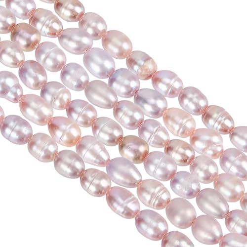 GOMAKERER 55 Stück Natürliche kultivierte Süßwasserperlen 6mm, Distel Natürliche Kultivierte Süßwasserperlen Glänzende Perlen In Reisform Für Die Herstellung von Halsketten Und Schmuck (0.7mm Loch) GOMAKERER 55 Stück Natürliche kultivierte Süßwasserperlen 6mm, Distel Natürliche Kultivierte Süßwasserperlen Glänzende Perlen In Reisform Für Die Herstellung von Halsketten Und Schmuck (0.7mm Loch) von GOMAKERER