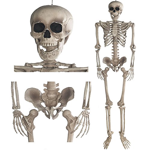 GOODS+GADGETS Deko Skelett 160 cm - Party & Halloween Dekoration Ganzkörper Horror Skeleton GOODS+GADGETS Deko Skelett 160 cm - Party & Halloween Dekoration Ganzkörper Horror Skeleton von GOODS+GADGETS