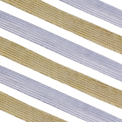 GORGECRAFT 24 Yard 2 Farben Elastisches Band 12.5mm Breit Glitzerndes Metallisches Band Flaches Elastisches Band Geflochtenes Stretchband Elastizität Gestricktes Gurtband Bekleidungszubehör Nähen GORGECRAFT 24 Yard 2 Farben Elastisches Band 12.5mm Breit Glitzerndes Metallisches Band Flaches Elastisches Band Geflochtenes Stretchband Elastizität Gestricktes Gurtband Bekleidungszubehör Nähen von GORGECRAFT