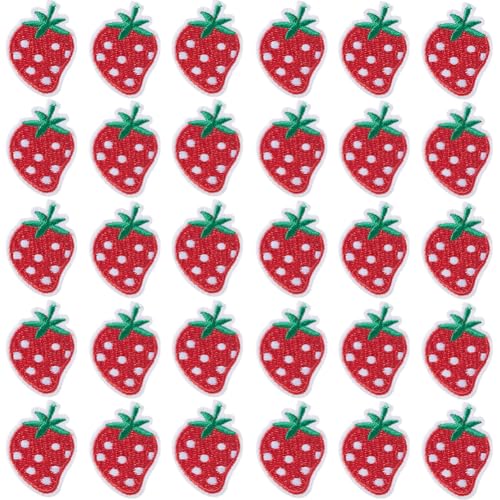 GORGECRAFT 50 Stück Erdbeer-Gestickte Aufnäher Sticktuch Aufbügler Kleine Süße Rote Obst-Applikationen Für Frauen Zum Nähen von DIY-Kleidung Jacken Kleidern Jeans Hüten Rucksäcken von GORGECRAFT
