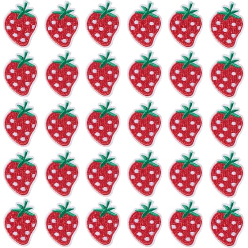 GORGECRAFT 50 Stück Erdbeer-Gestickte Aufnäher Sticktuch Aufbügler Kleine Süße Rote Obst-Applikationen Für Frauen Zum Nähen von DIY-Kleidung Jacken Kleidern Jeans Hüten Rucksäcken von GORGECRAFT