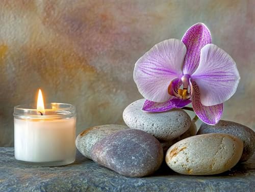 5D Diamond Painting Kerze, Orchidee Diamond Painting Erwachsene Kinder, DIY Crystal Art Bilder Basteln Erwachsene Anfänger Set für Heim Schlafzimmer Wand Deko Wohnzimmer, Geschenke Frau 20x30cm EF-P0W 5D Diamond Painting Kerze, Orchidee Diamond Painting Erwachsene Kinder, DIY Crystal Art Bilder Basteln Erwachsene Anfänger Set für Heim Schlafzimmer Wand Deko Wohnzimmer, Geschenke Frau 20x30cm EF-P0W von GOUFEENG