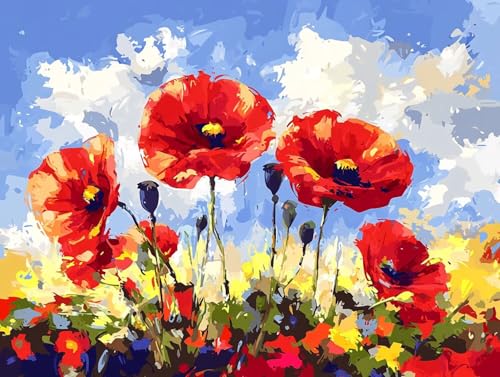 5D Diamond Painting Mohn, Rot Diamond Painting Erwachsene Kinder, DIY Crystal Art Bilder Basteln Erwachsene Anfänger Set für Heim Schlafzimmer Wand Deko Wohnzimmer, Geschenke Frau 20x30cm 9X-2B1 von GOUFEENG