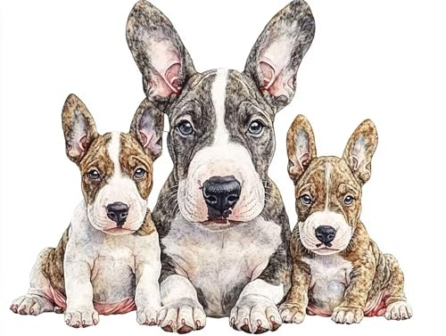 5D Diamond Painting Tier, Hund Diamond Painting Erwachsene Kinder, DIY Crystal Art Bilder Basteln Erwachsene Anfänger Set für Heim Schlafzimmer Wand Deko Wohnzimmer, Geschenke Frau 25x35cm 09-VUK 5D Diamond Painting Tier, Hund Diamond Painting Erwachsene Kinder, DIY Crystal Art Bilder Basteln Erwachsene Anfänger Set für Heim Schlafzimmer Wand Deko Wohnzimmer, Geschenke Frau 25x35cm 09-VUK von GOUFEENG