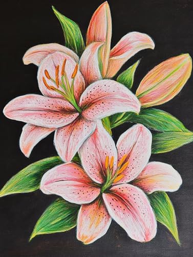 Malen Nach Zahlen Blume Malen Nach Zahlen Erwachsene LandschaftPaint by Numbers Adult DIY Handgemaltes Ölgemälde Kinder Bastelnset mit Pinsel und Acrylfarben für Zimmer Deko 40x50 cm Rahmenlos 7A-3 Malen Nach Zahlen Blume Malen Nach Zahlen Erwachsene LandschaftPaint by Numbers Adult DIY Handgemaltes Ölgemälde Kinder Bastelnset mit Pinsel und Acrylfarben für Zimmer Deko 40x50 cm Rahmenlos 7A-3 von GOUFEENG