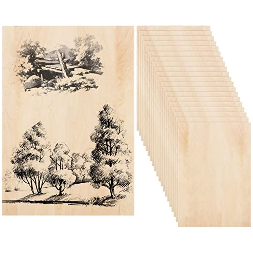 GOYADA 20 Stück Holzplatten zum Basteln, Sperrholzplatte Holz 300 x 200 x 2 mm, Unbearbeitete Holzplatte für Heimwerker, Holz zum Dekorieren, Modell, Handwerk von GOYADA