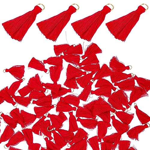 GRADENEVE 100 Stück Mini Quasten, DIY Lesezeichen Quaste, Handy Anhänger, DIY Bastelquaste, Hängende Quasten Dekoration, Frühlingsfest Zubehör, Quasten Lesezeichen, DIY Quasten Anhänger, GRADENEVE 100 Stück Mini Quasten, DIY Lesezeichen Quaste, Handy Anhänger, DIY Bastelquaste, Hängende Quasten Dekoration, Frühlingsfest Zubehör, Quasten Lesezeichen, DIY Quasten Anhänger, von GRADENEVE