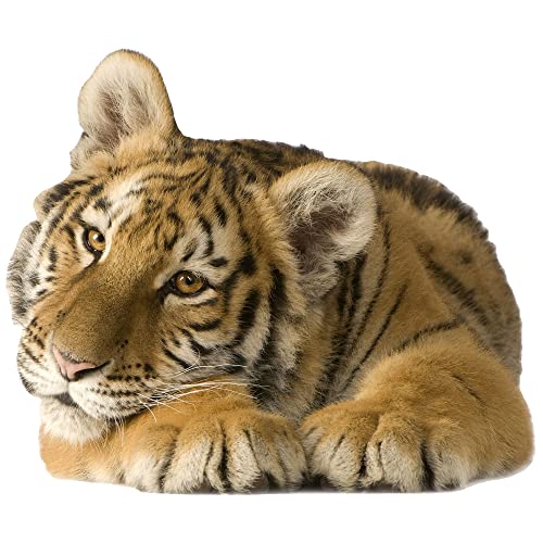 GRAZDesign Wandtattoo Tiger liegend | Wandaufkleber Afrika | Wandsticker Deko Aufkleber 3d - 36x30cm GRAZDesign Wandtattoo Tiger liegend | Wandaufkleber Afrika | Wandsticker Deko Aufkleber 3d - 36x30cm von GRAZDesign