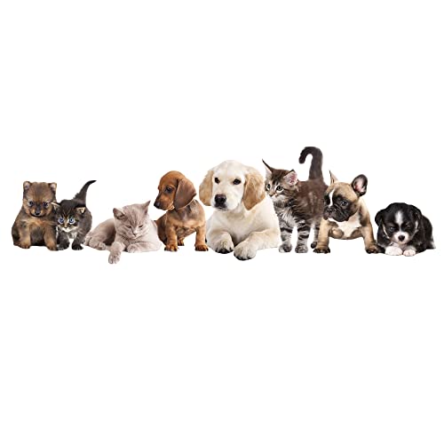 GRAZDesign Wandtattoo Welpen Kätzchen | Kinderzimmer, Wohnzimmer Wanddekoration Wandsticker Tiere Haustiere, Wandaufkleber Wanddeko Katzen Hunde Babys, 145x40cm GRAZDesign Wandtattoo Welpen Kätzchen | Kinderzimmer, Wohnzimmer Wanddekoration Wandsticker Tiere Haustiere, Wandaufkleber Wanddeko Katzen Hunde Babys, 145x40cm von GRAZDesign