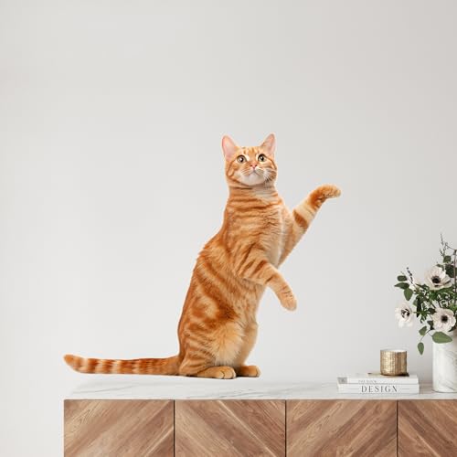 GRAZDesign Katzendeko Aufkleber - Lebensgroße Wandsticker für Tierliebhaber ablösbar & einfach anzubringen Lebendige Farben & realistische Details - 57x50cm von GRAZDesign