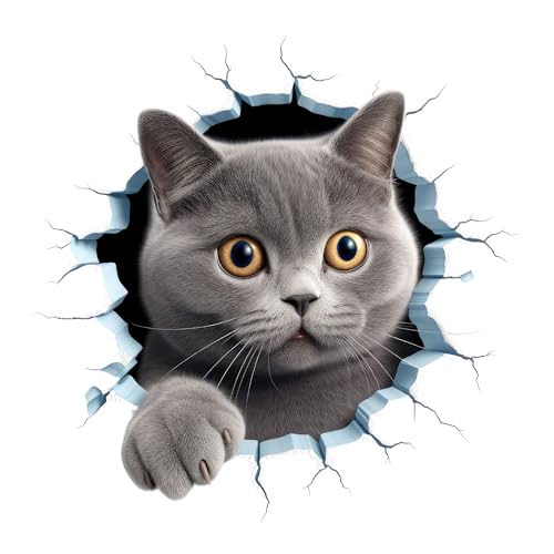 GRAZDesign Wandtattoo Katze Wandriss - Wanddurchbruch lustiges Motiv, Wandaufkleber Kinderzimmer, Wohnzimmer - 30x30cm GRAZDesign Wandtattoo Katze Wandriss - Wanddurchbruch lustiges Motiv, Wandaufkleber Kinderzimmer, Wohnzimmer - 30x30cm von GRAZDesign