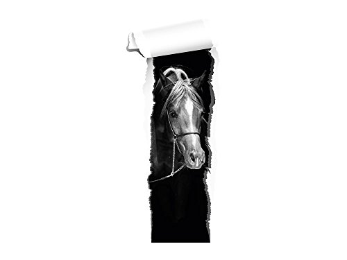 GRAZDesign Wandtattoo Pferd Tapete | Wandtattoo Kinderzimmer Mädchen | Wandsticker Pferdekopf braun | Deko Wanddeko selbstklebend XXL Schwarz Weiß Bild, 120x50cm von GRAZDesign