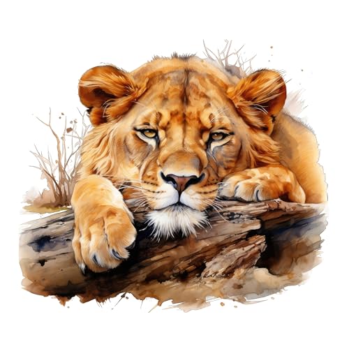 GRAZDesign Wandtattoo Safari Tiger Tiere Wandaufkleber Wildtiere Wandsticker für Wohnzimmer, Schlafzimmer, Kinderzimmer - 34x30cm GRAZDesign Wandtattoo Safari Tiger Tiere Wandaufkleber Wildtiere Wandsticker für Wohnzimmer, Schlafzimmer, Kinderzimmer - 34x30cm von GRAZDesign