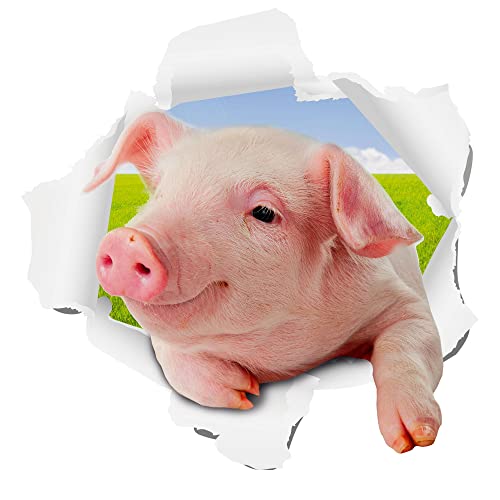 GRAZDesign Wandtattoo Schwein, Babyschwein, Wandsticker Wand Durchbruch Wanddekoration Wohnzimmer Kinderzimmer Tür Aufkleber, Wandaufkleber Tier, 30x30cm von GRAZDesign