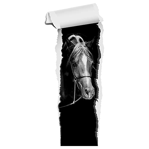GRAZDesign Wandtattoo Pferd Tapete | Wandtattoo Kinderzimmer Mädchen | Wandsticker Pferdekopf braun | Deko Wanddeko selbstklebend XXL Schwarz Weiß Bild, 96x40cm GRAZDesign Wandtattoo Pferd Tapete | Wandtattoo Kinderzimmer Mädchen | Wandsticker Pferdekopf braun | Deko Wanddeko selbstklebend XXL Schwarz Weiß Bild, 96x40cm von GRAZDesign