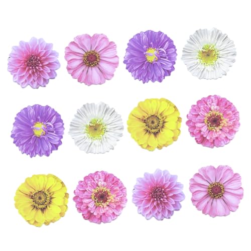 GRIRIW 12 Stück Blumen Haftnotizen Teiliges Selbstklebende Notizblöcke aus Dickem Papier Tragbare Büro und Schul Sticker Dekorative Praktische Memo Pads für Lehrer und Studenten GRIRIW 12 Stück Blumen Haftnotizen Teiliges Selbstklebende Notizblöcke aus Dickem Papier Tragbare Büro und Schul Sticker Dekorative Praktische Memo Pads für Lehrer und Studenten von GRIRIW