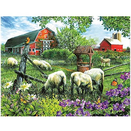 GRUNI Diamond Painting Diamant Bilder full Farm Schafe 5D DIY Diamant Malerei Kinder Erwachsene Mosaik Strass Basteln Dekoration für Wohnzimmer oder Schlafzimmer Wall Décor 30x40cm/12x16inch GRUNI Diamond Painting Diamant Bilder full Farm Schafe 5D DIY Diamant Malerei Kinder Erwachsene Mosaik Strass Basteln Dekoration für Wohnzimmer oder Schlafzimmer Wall Décor 30x40cm/12x16inch von GRUNI