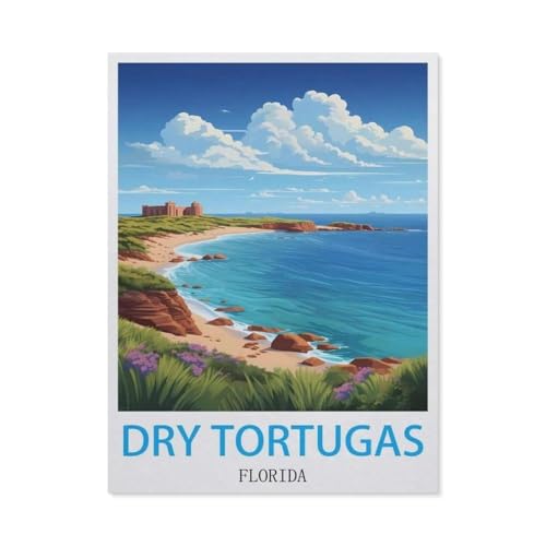 DIY Malen nach Zahlen，Dry Tortugas, Florida, Vereinigten Staaten，diy malen nach zahlen erwachsene landsch Mit Pinsel und Acrylfarbe Erwachsenenfarbe nach Zahlen Kits Kunst（50x60cm）19.6x23.6 Zoll-T34 von GSBRSNTS