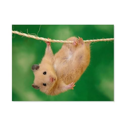 GSBRSNTS 3D DIY Diamond Painting Set，Hamster süße Tiere，Runder Diamant-Kreuzstich, handgestickte Familie Wanddekoration Malerei（30 x 40 cm/11.81 x 15.74 Zoll）-A87 von GSBRSNTS